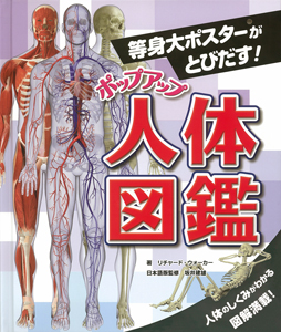 等身大ポスターがとびだす! ポップアップ人体図鑑 (ポップアップ人体えほん 2)
