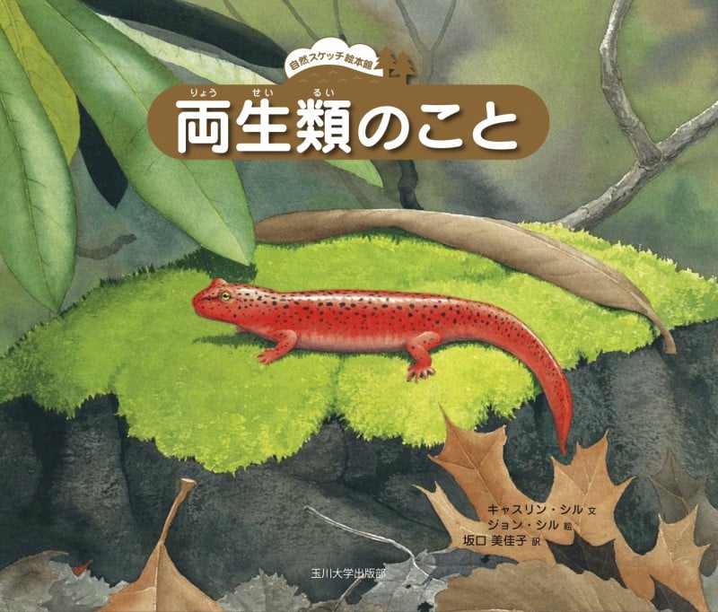 両生類のこと (自然スケッチ絵本館)の詳細を見る