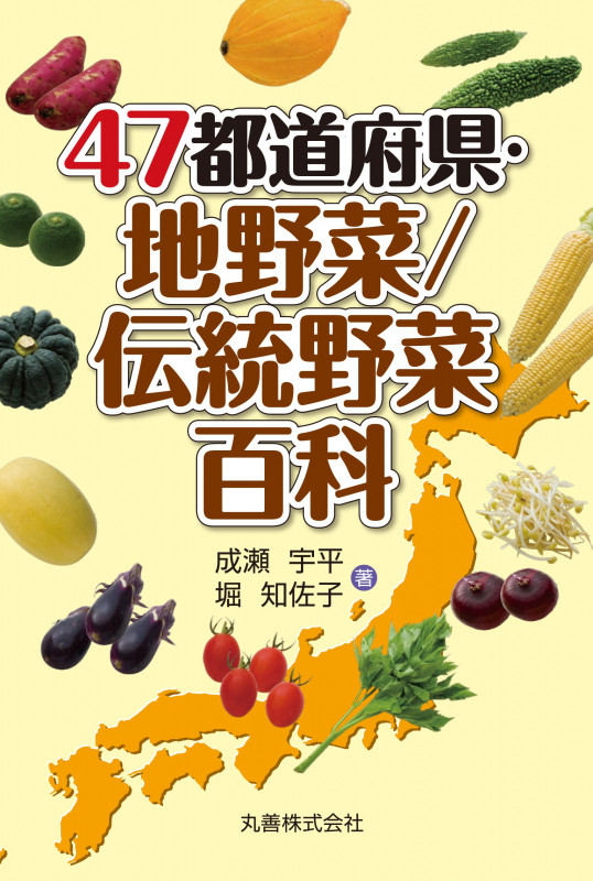 47都道府県ビジュアル文化百科 全3巻セット （47都道府県