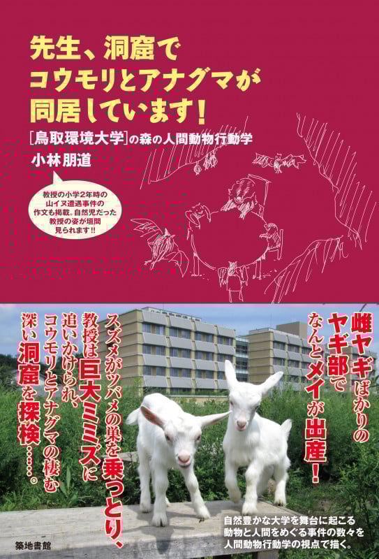 先生、洞窟でコウモリとアナグマが同居しています! 鳥取環境大学の森の人間動物行動学