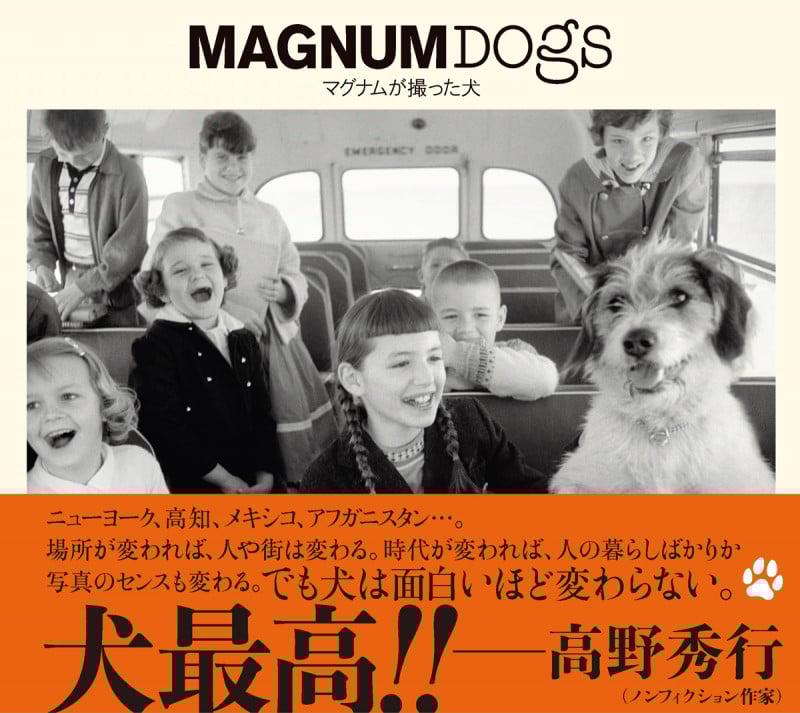 写真集 MAGNUM DOGS マグナムが撮った犬