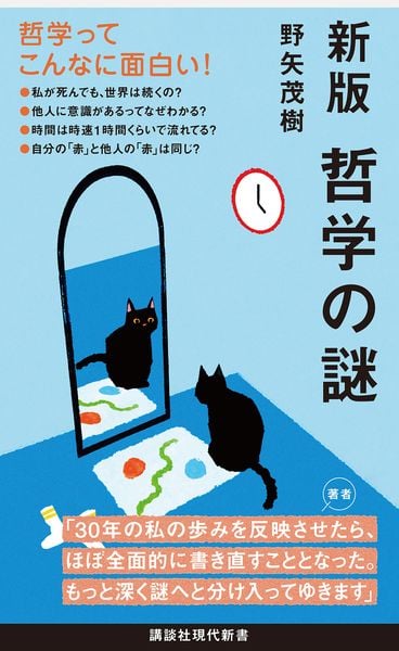 新版 哲学の謎 (講談社現代新書)