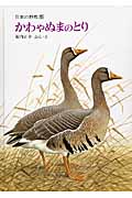 かわやぬまのとり (日本の野鳥 5)の詳細を見る
