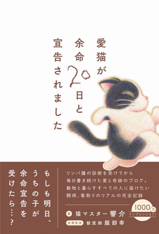 愛猫が余命20日と宣告されました