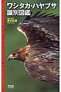 ワシタカ・ハヤブサ識別図鑑