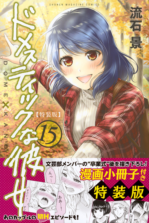 ドメスティックな彼女(15)特装版 (プレミアムKC)の詳細を見る