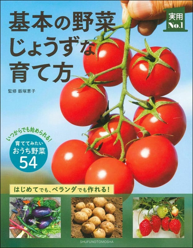 基本の野菜じょうずな育て方 (実用No.1)