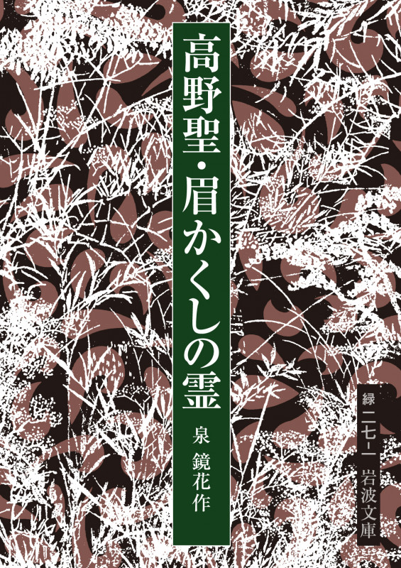 高野聖・眉かくしの霊 (岩波文庫)