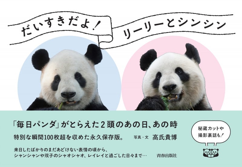 だいすきだよ!リーリーとシンシン 「毎日パンダ」がとらえた2頭のあの日、あの時