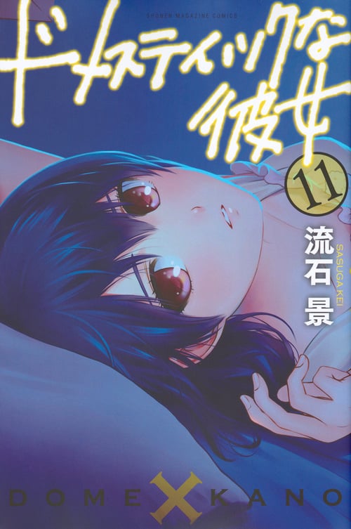 ドメスティックな彼女(11) (講談社コミックス)