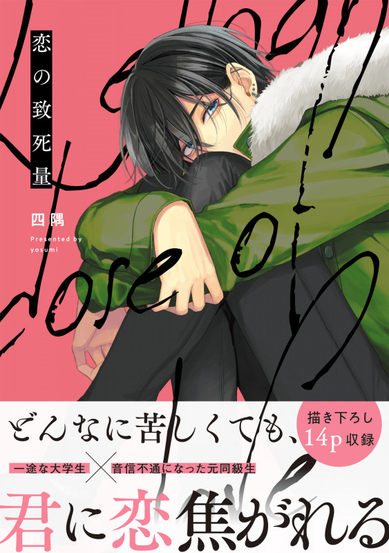 恋の致死量 (B's-LOVEY COMICS)