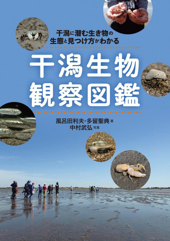 干潟生物観察図鑑 干潟に潜む生き物の生態と見つけ方がわかるの詳細を見る
