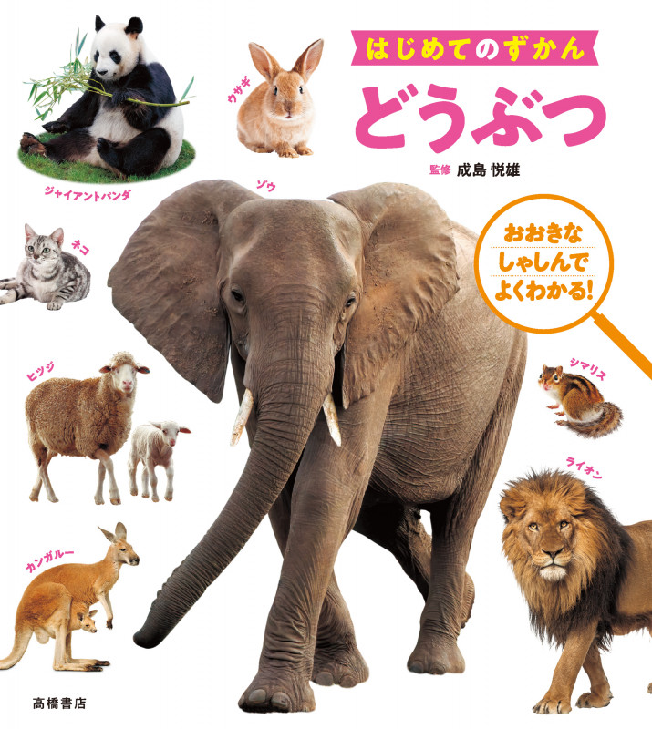 はじめてのずかん どうぶつ