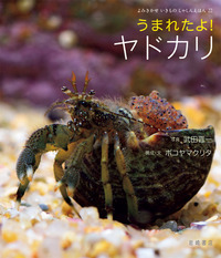 うまれたよ!ヤドカリ (よみきかせいきものしゃしんえほん 22)の詳細を見る