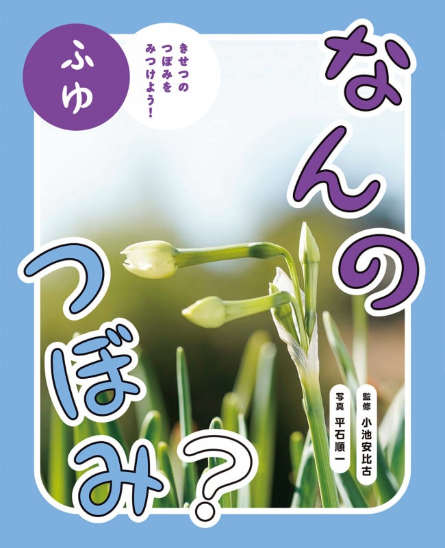 なんのつぼみ? ふゆ (なんのつぼみ?)