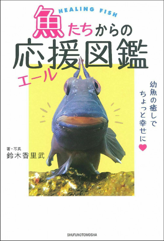 魚たちからの応援図鑑 幼魚の癒しでちょっと幸せに