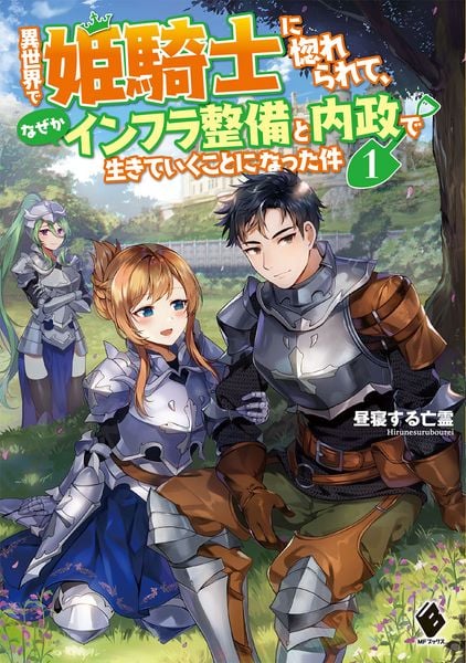 異世界で姫騎士に惚れられて、なぜかインフラ整備と内政で生きていくことになった件 1 (MFブックス)の詳細を見る