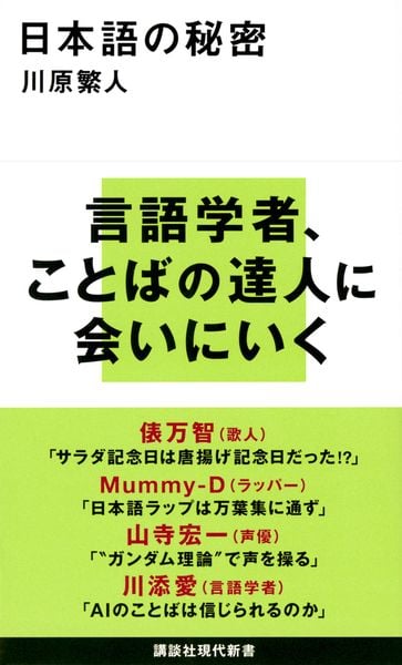 日本語の秘密 (講談社現代新書)