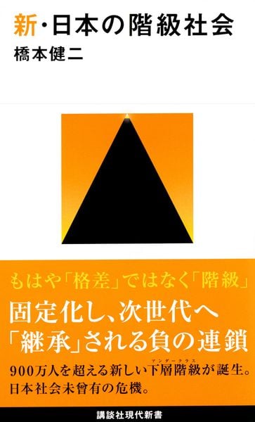 新・日本の階級社会 (講談社現代新書)