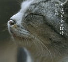 写真集 ちょっとネコぼけ