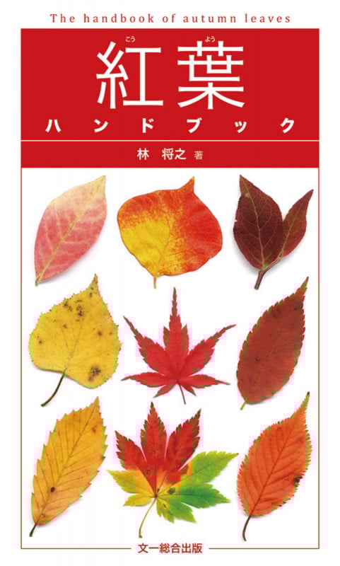 紅葉ハンドブック
