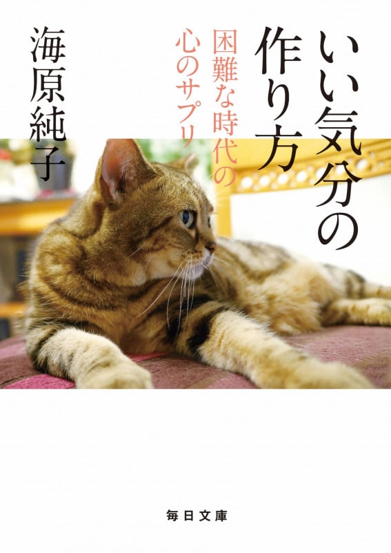 いい気分の作り方 困難な時代の心のサプリ (毎日文庫)