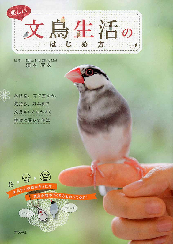 楽しい文鳥生活のはじめ方