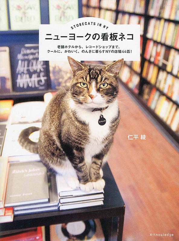 ニューヨークの看板ネコ