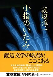 小指のいたみ (文春文庫)の詳細を見る