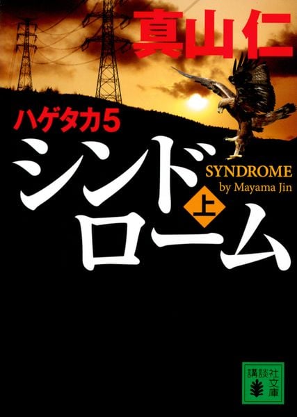 ハゲタカ 5 シンドローム(上) (講談社文庫)の詳細を見る