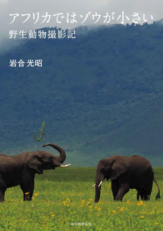 アフリカではゾウが小さい 野生動物撮影記