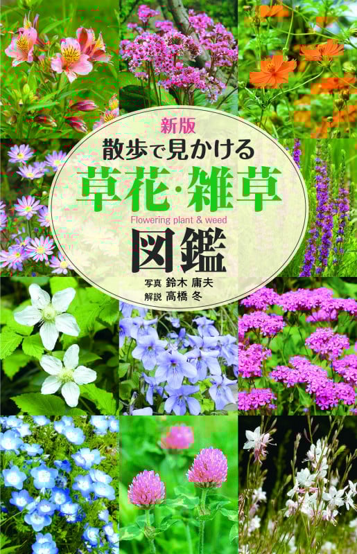 新版 散歩で見かける草花・雑草図鑑