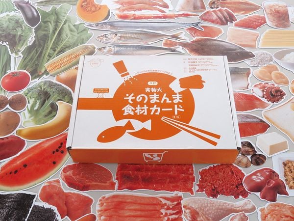 実物大・そのまんま食材カード バランスのとれた食事づくりに役立つ (たのしい食育教材シリーズ)