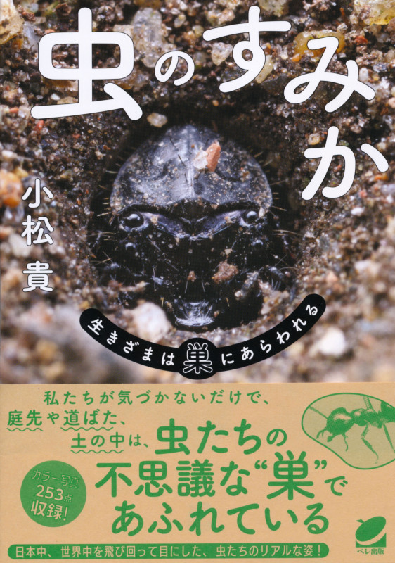 虫のすみか 生きざまは巣にあらわれる