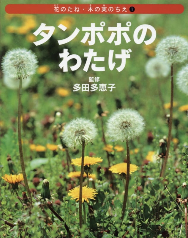 タンポポのわたげ (花のたね・木の実のちえ 1)
