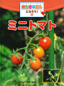 かんさつ名人になろう! ミニトマト (1)