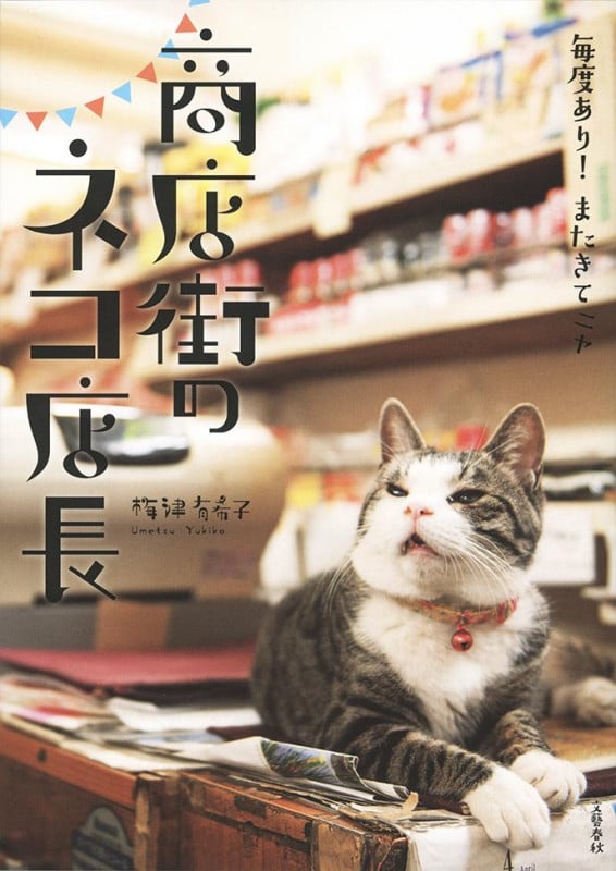 商店街のネコ店長 毎度あり!またきてニャ