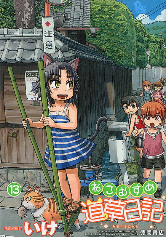 ねこむすめ道草日記 (13) (リュウC)