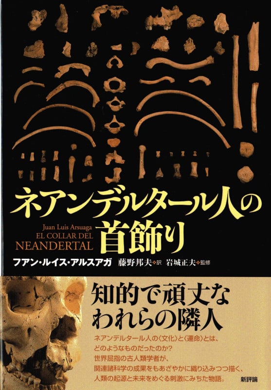 ネアンデルタール人の首飾り