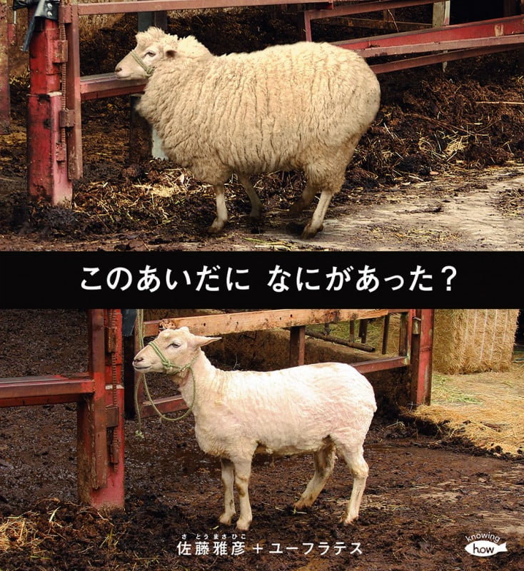 このあいだになにがあった? (かがくのとも絵本)