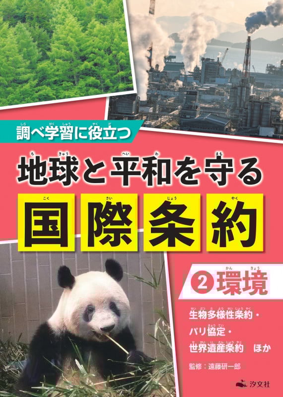 ②【環境】 生物多様性条約・パリ協定・世界遺産条約 ほか (調べ学習に役立つ 地球と平和を守る 国際条約)