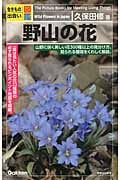 野山の花 (生きもの出会い図鑑)