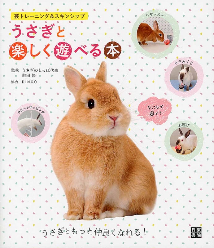 うさぎと楽しく遊べる本