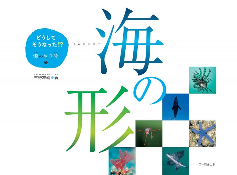 海の形 (どうしてそうなった!?海の生き物 2)