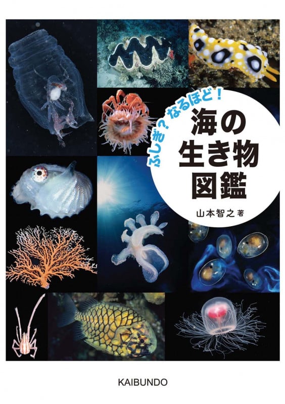 ふしぎ?なるほど! 海の生き物図鑑