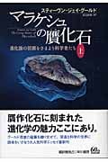 マラケシュの贋化石 (上)
