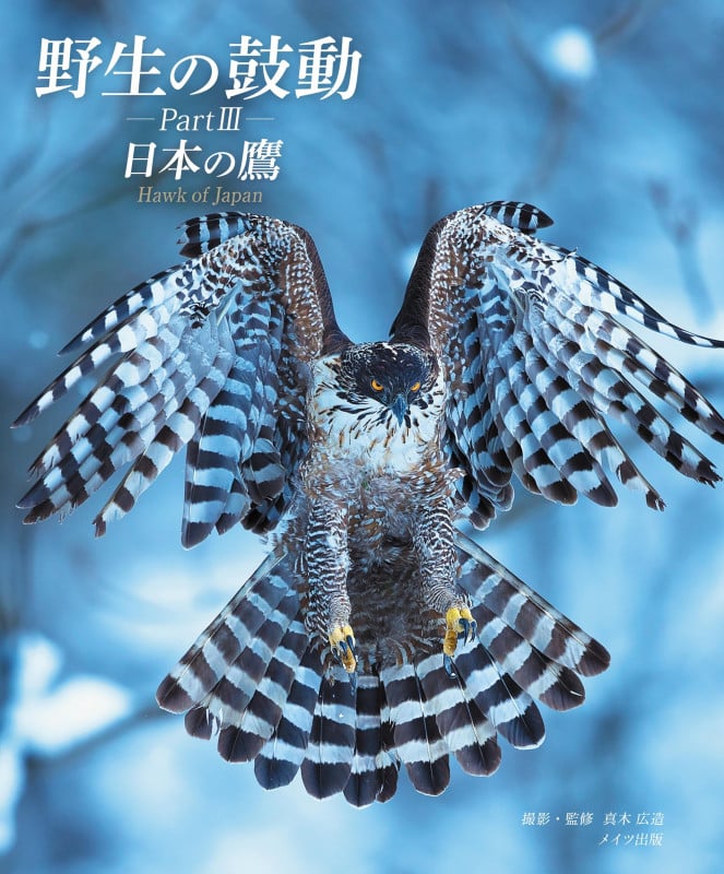 野生の鼓動 PartIII 日本の鷹