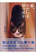 猫、ただいま留守番中