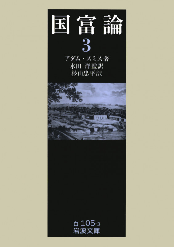 国富論 3 (岩波文庫 白105-3)