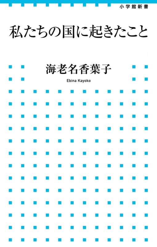 私たちの国に起きたこと (小学館新書)